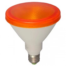 PAR38 LED Lamps