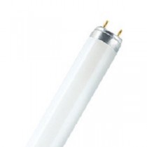 Flour Tubes, Comp Flour and Led Tubes