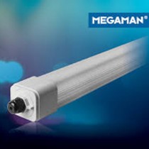 Dino LED IP65