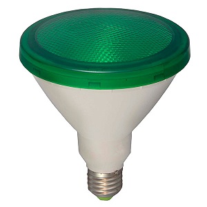 BELL 05651 LED ES PAR38 15W 240V Green
