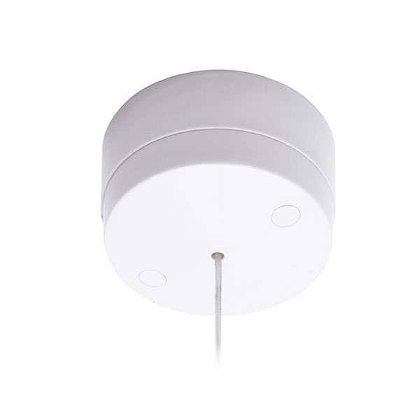 BG 802 Ceiling Switch 2Way 6A