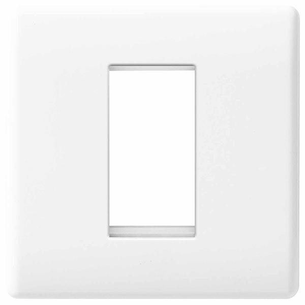 BG 8EMS1-01 Frontplate 1 Module Square