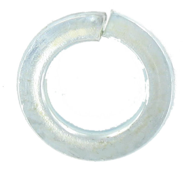 Deligo ISSW10 Spring Washer M10 BZP